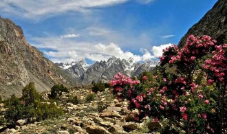 MASHABRUM BC and GONDOGORO LA TREK